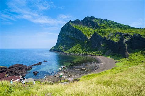 제주도 여행 필수코스: 바람의 향기를 따라가는 시간 여행